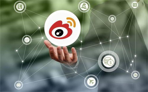 發(fā)力垂直領域，微博廣告業(yè)務實現(xiàn)穩(wěn)健復蘇
