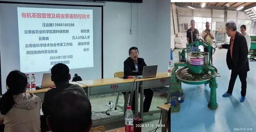 西盟縣農(nóng)科服務(wù)團(tuán)佤鄉(xiāng)傳授茶科技，信息技術(shù)咨詢服務(wù)助力鄉(xiāng)村全面振興