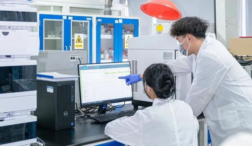 決勝收官 向新而行 主動(dòng)服務(wù)沿滬寧產(chǎn)業(yè)創(chuàng)新帶建設(shè)，推動(dòng)普陀科創(chuàng)動(dòng)能澎湃聚勢(shì)